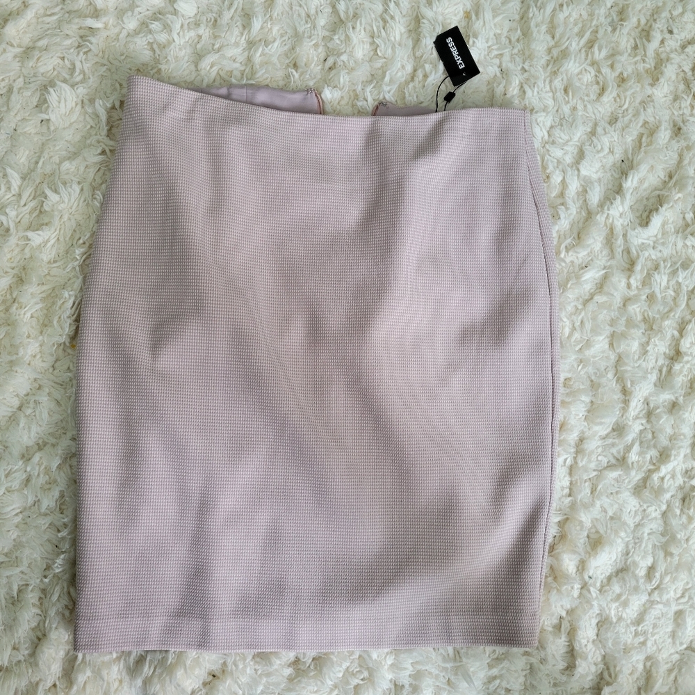 Express dress skirt